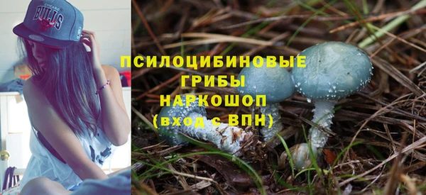 метадон Михайлов