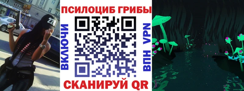 Галлюциногенные грибы Magic Shrooms  кракен онион  Нерчинск 